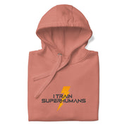 Gymnastics apparel: I Train Superhumans - Adult Hoodie - Dusty Rose (SKU:9013008_13887)